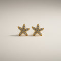 Aros Estrella de Mar